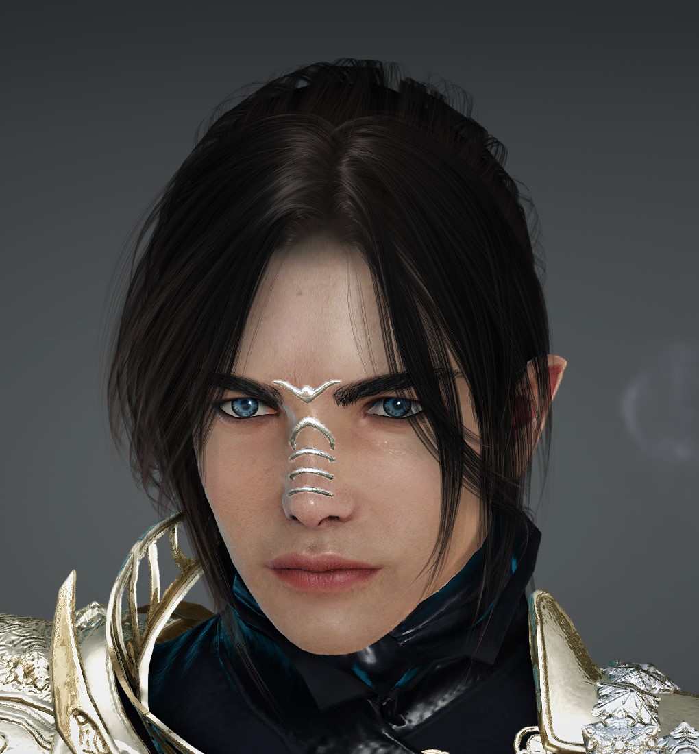  beauty album elven regent wiz black desert na eu