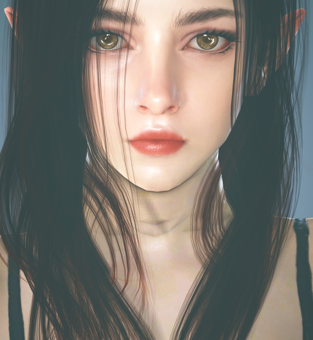 customization-album-dilraba-black-desert-na-eu