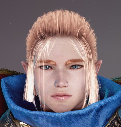 Archmage Elf