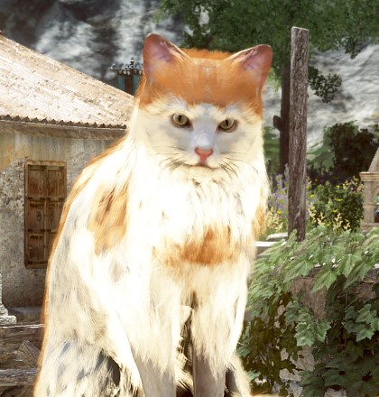 Gatito