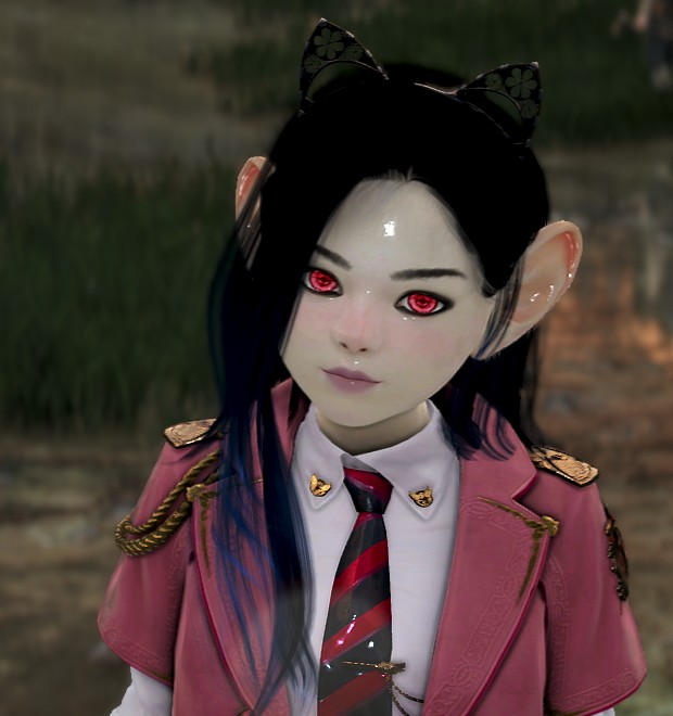 Shai Lawyer