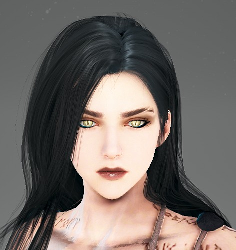 Model drak