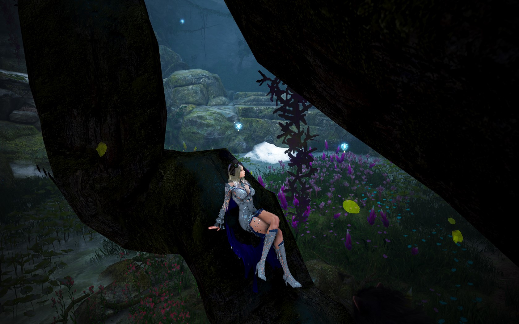 [Photo Gallery] Yianaros's Tree Black Desert NA/EU