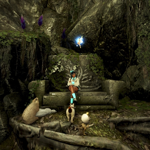 scs_1_25112103163336842_thumb