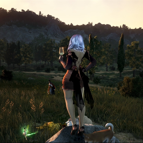 scs_1_25112611242979731_thumb