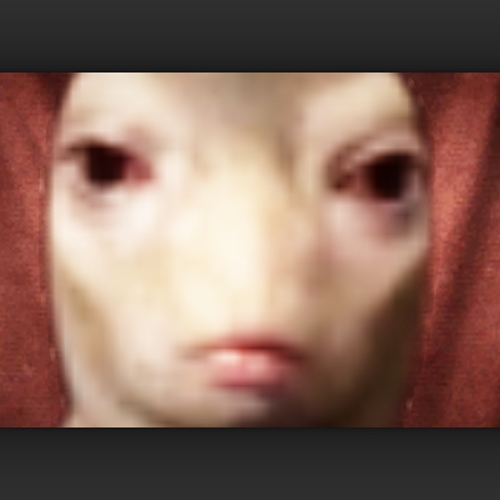 scs_1_25112812462291848_thumb