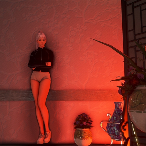 scs_1_25122812153765889_thumb