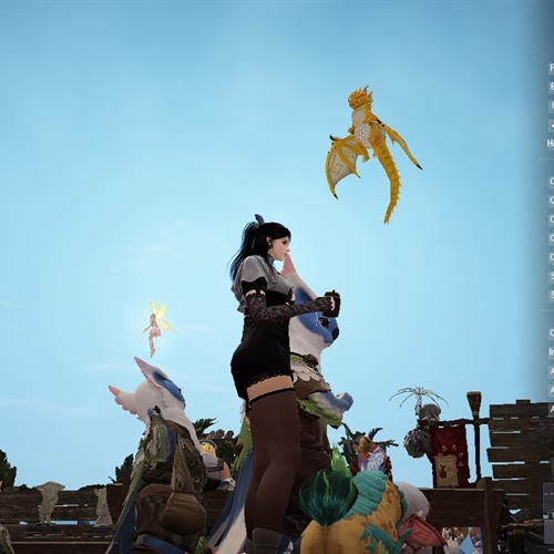 scs_1_25071801133686023_thumb