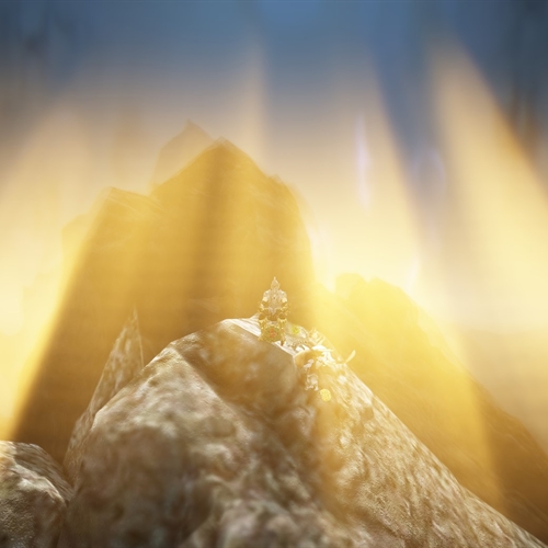 scs_1_25082101401267083_thumb