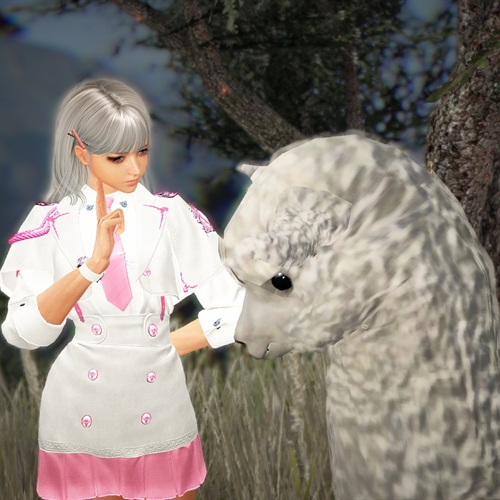 scs_1_25082104062443942_thumb