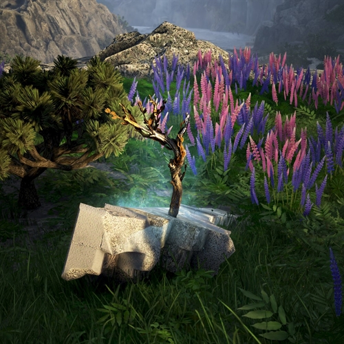 scs_1_25082403260498353_thumb