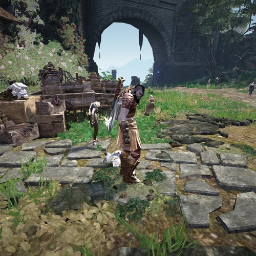 scs_1_25091301104914066_thumb