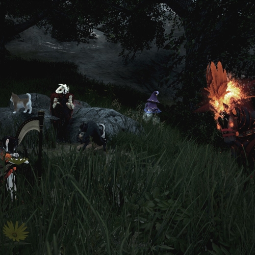 scs_1_26011203430909719_thumb