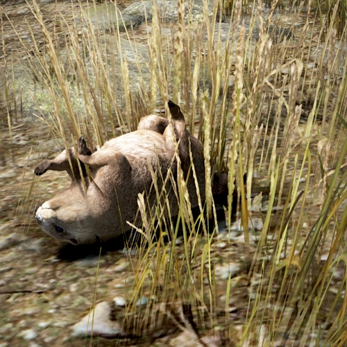 scs_5_26011305572843689_thumb