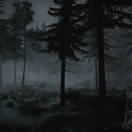 scs_1_26012502244934822_thumb