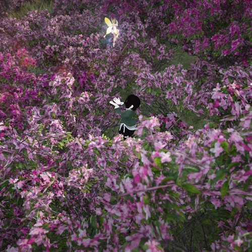 scs_2_26012708553728672_thumb