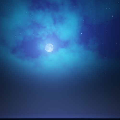 scs_1_26013103202118946_thumb