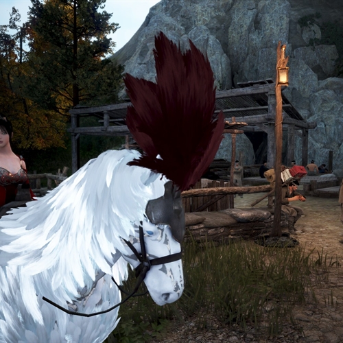 scs_2_26100410460742075_thumb