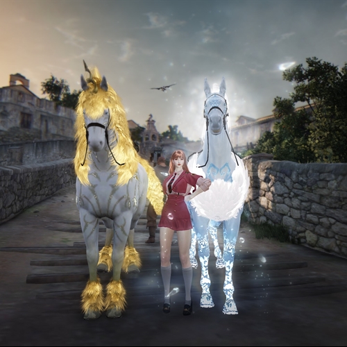 scs_1_26022403015355165_thumb