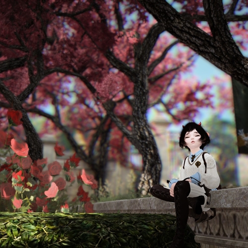 scs_2_26020910245220589_thumb