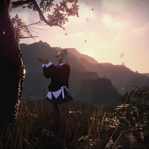 scs_1_26033109535944095_thumb