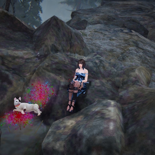 scs_1_26030907130533492_thumb