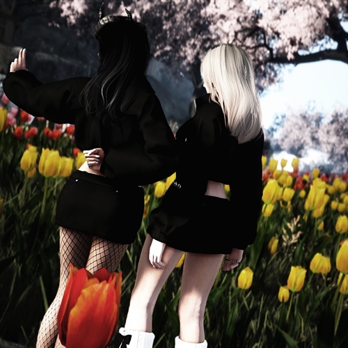 scs_2_26041011365858118_thumb