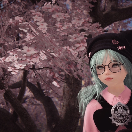 scs_1_26040306133621336_thumb