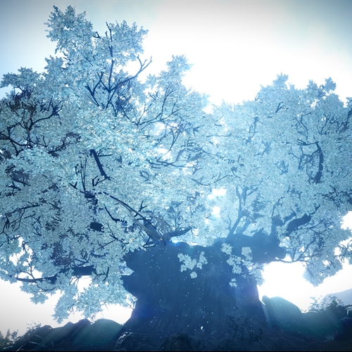 scs_1_26040704071036252_thumb