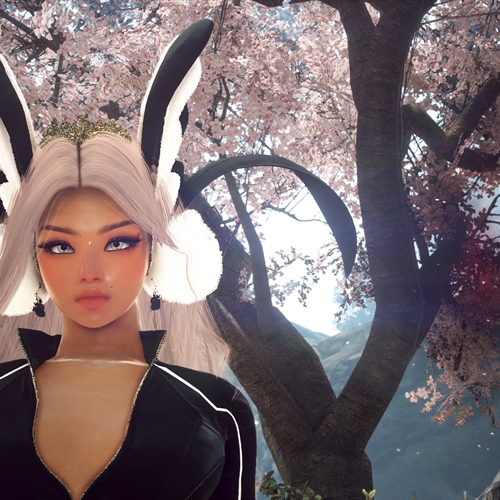 scs_1_2604070958401237_thumb