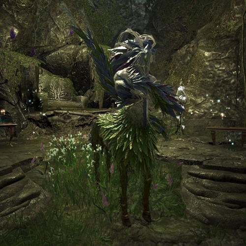 scs_1_26060109030178198_thumb