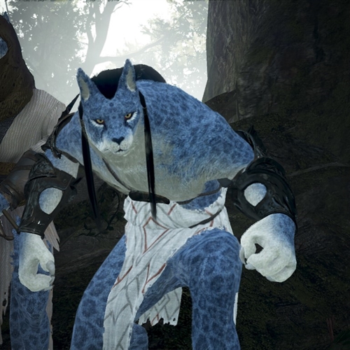 scs_1_26060109170704227_thumb
