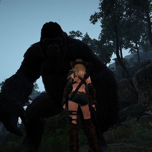 scs_1_26062710521580039_thumb