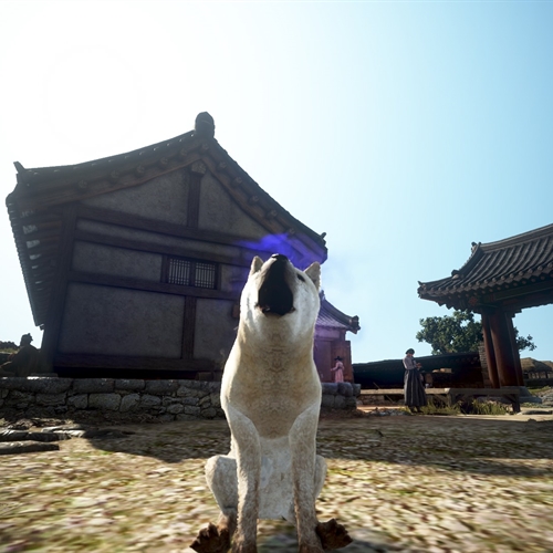 scs_1_26072006415714251_thumb