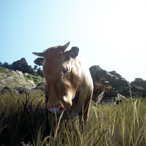 scs_1_26072006444833996_thumb