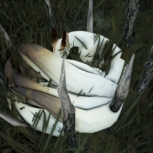 scs_1_26072007243509498_thumb