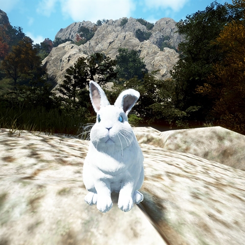 scs_1_26072009193987736_thumb