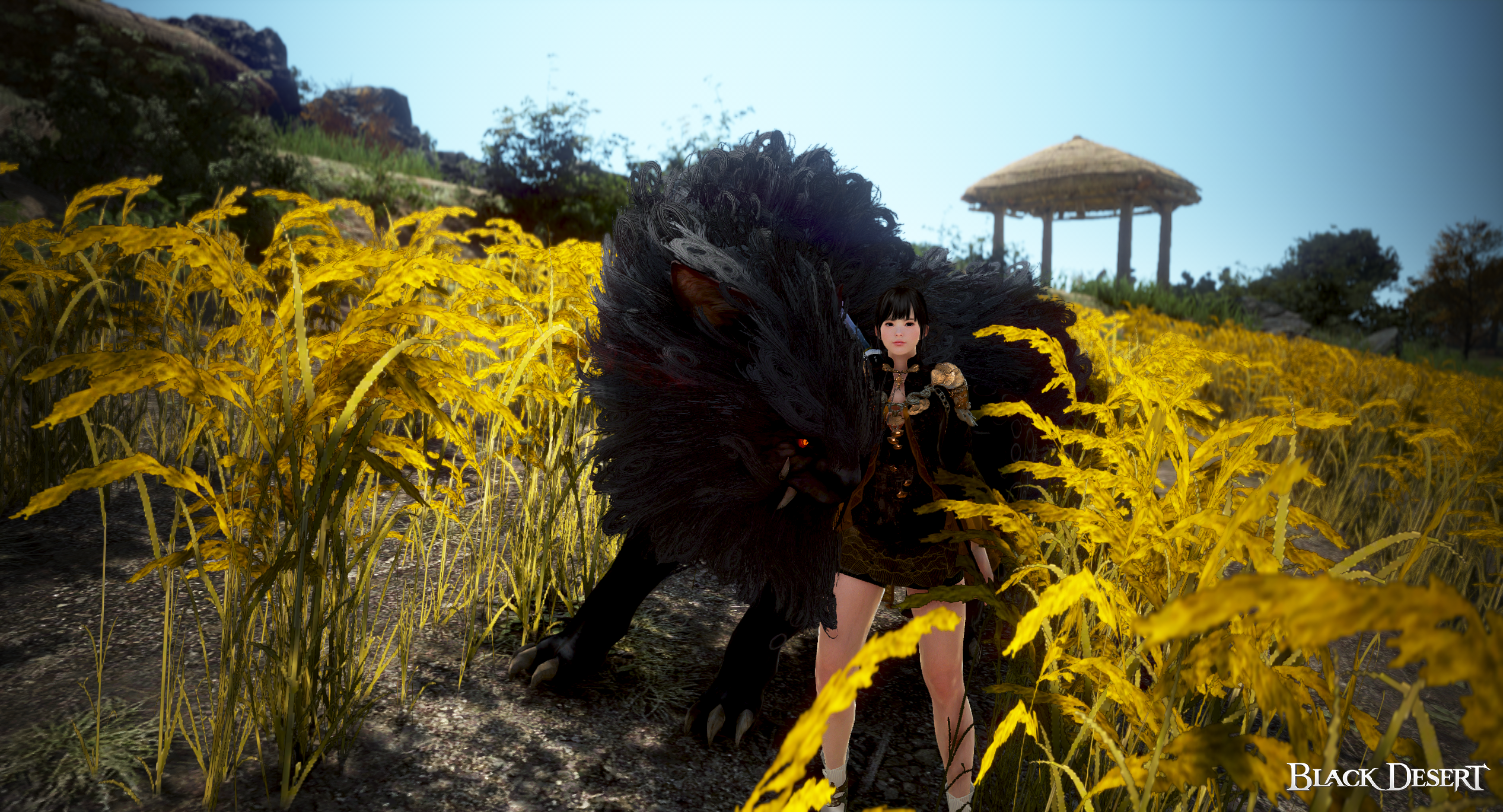[Event] [BDO Calendar - Autumn][NA] Halloween and Autumn | Black Desert ...