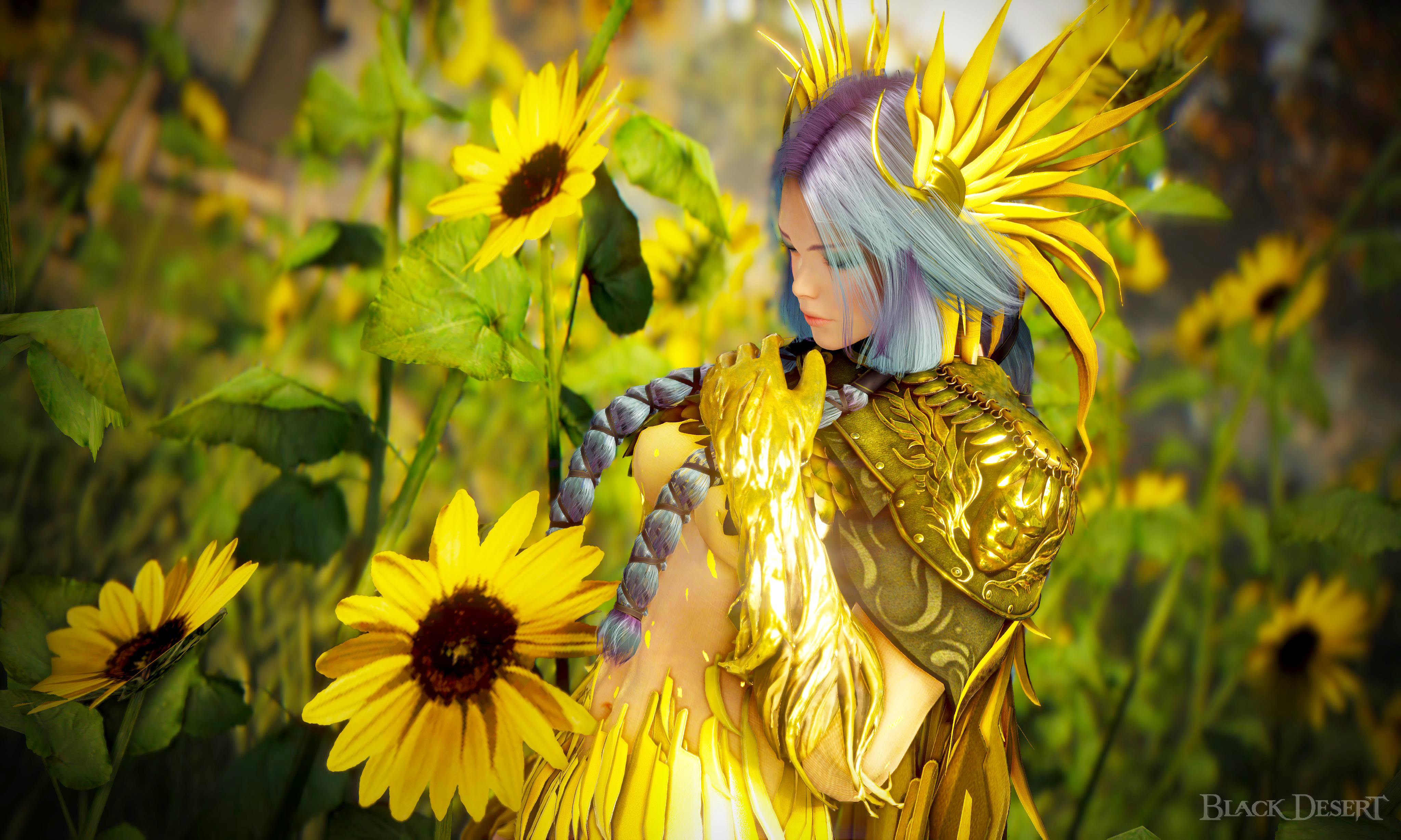 [Event] [BDO Calendar - Summer][EU] Summer ☼ | Black Desert NA/EU