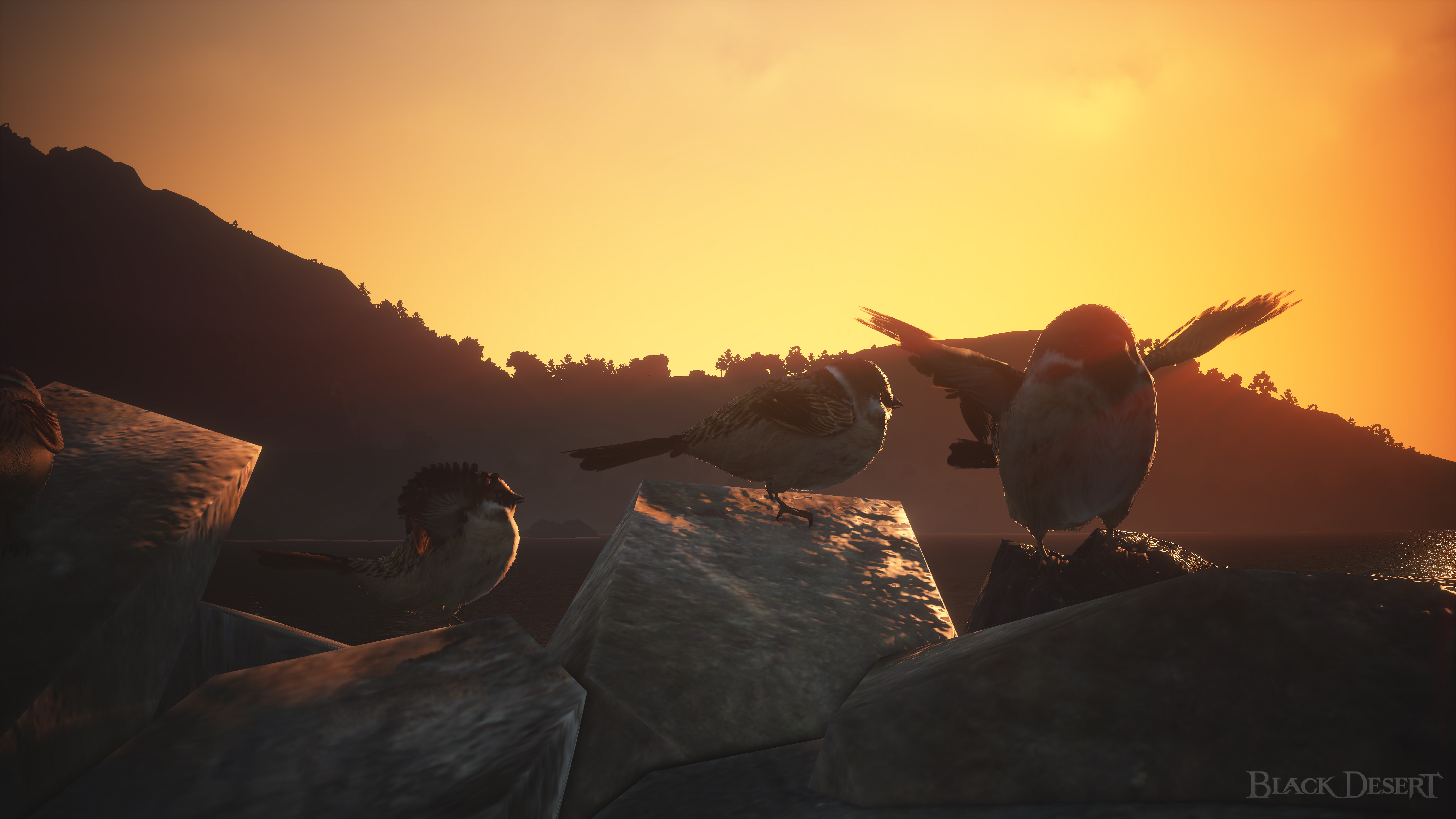 Event BDO Calendar Spring EU Black Desert NA EU event-bdo-calendar-spring-eu-black-desert-na-eu
