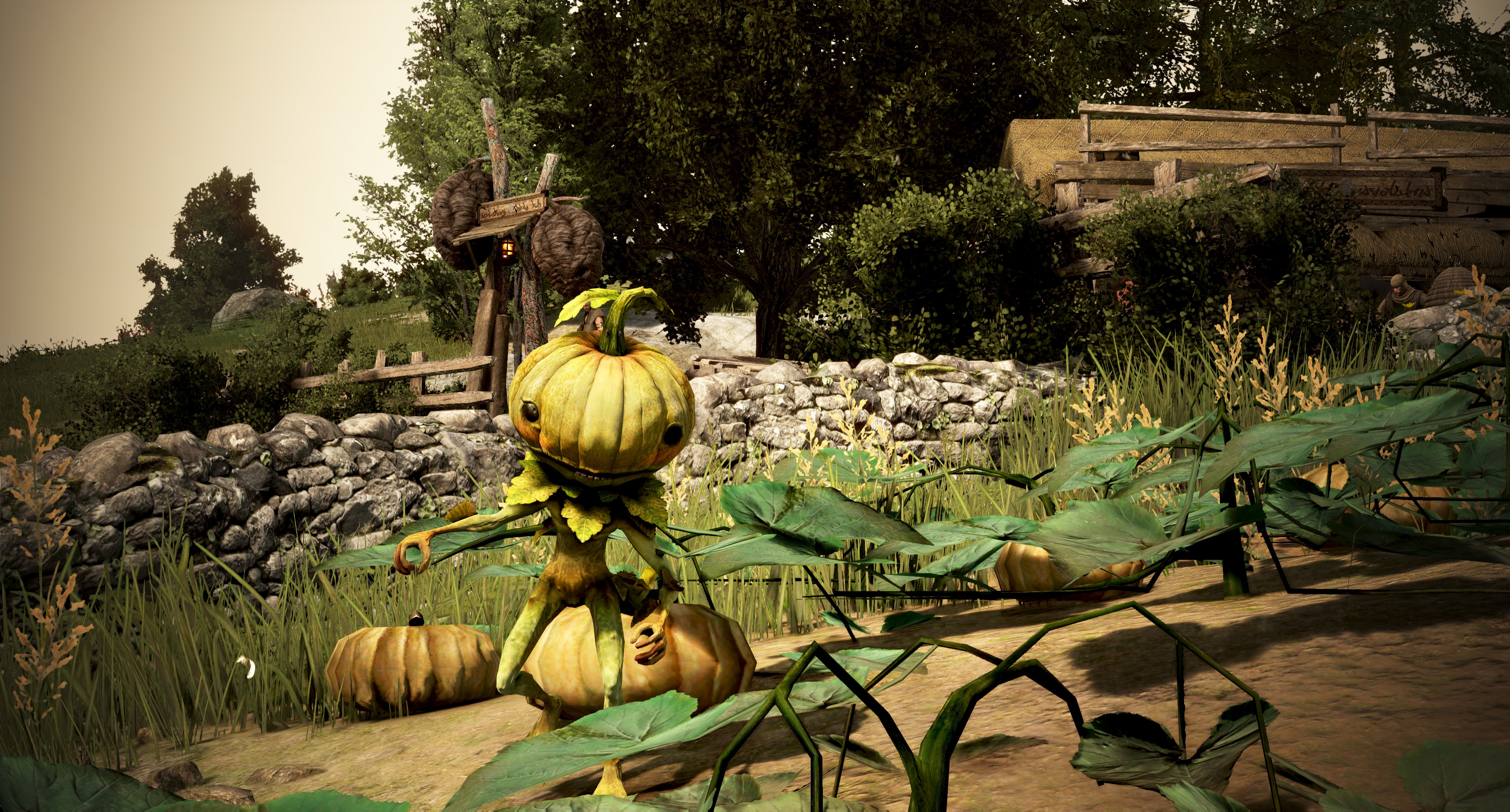 [Event] [2026 Calendar][EU]Rare views | Black Desert NA/EU