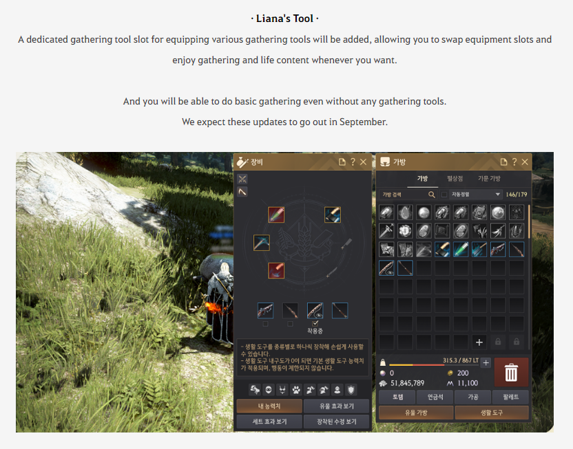 [Feedback] Liana's Tool Bag Update Black Desert NA/EU