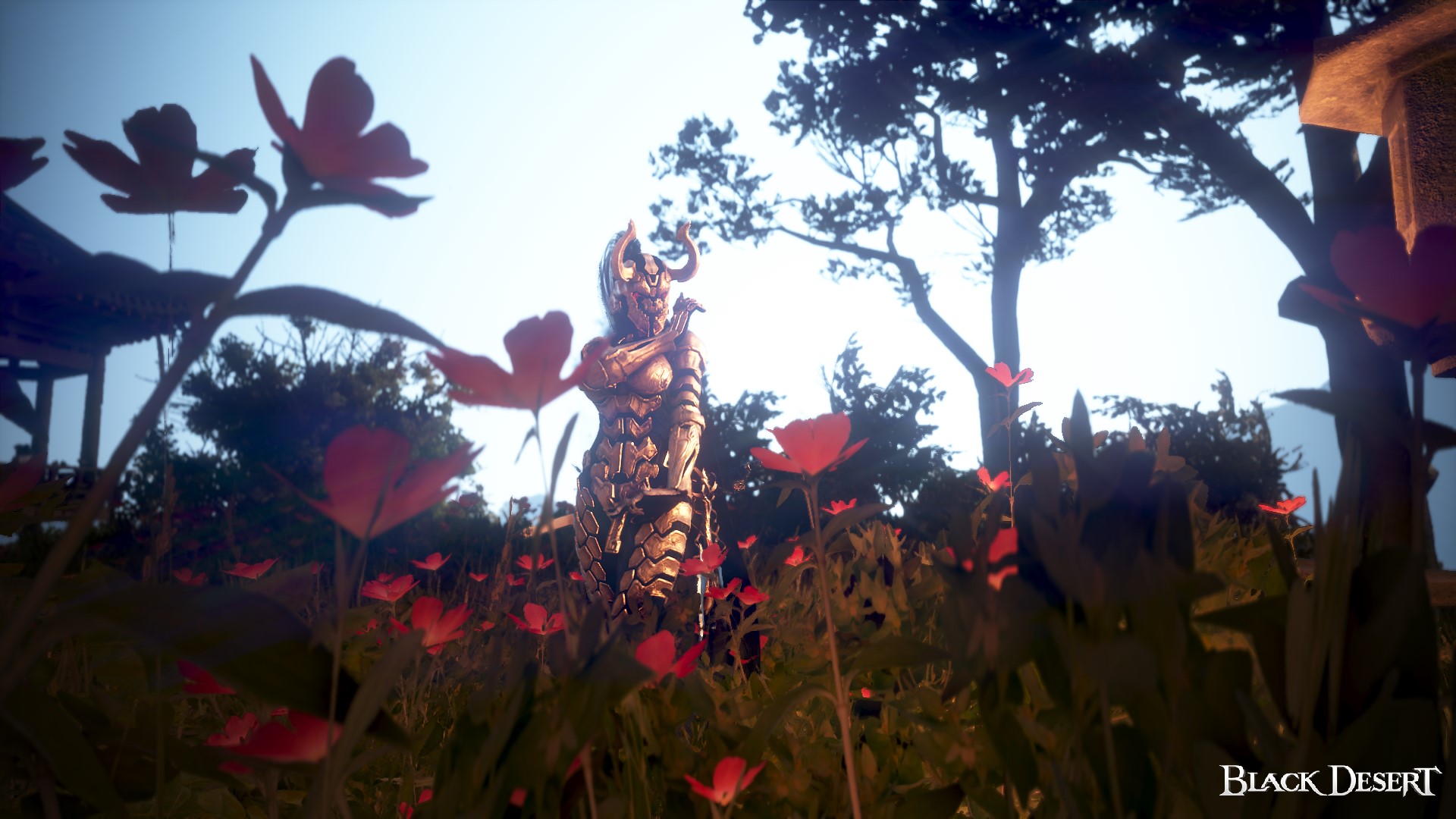 [Event] [BDO Calendar - Summer][EU] Flowers turning red | Black Desert ...