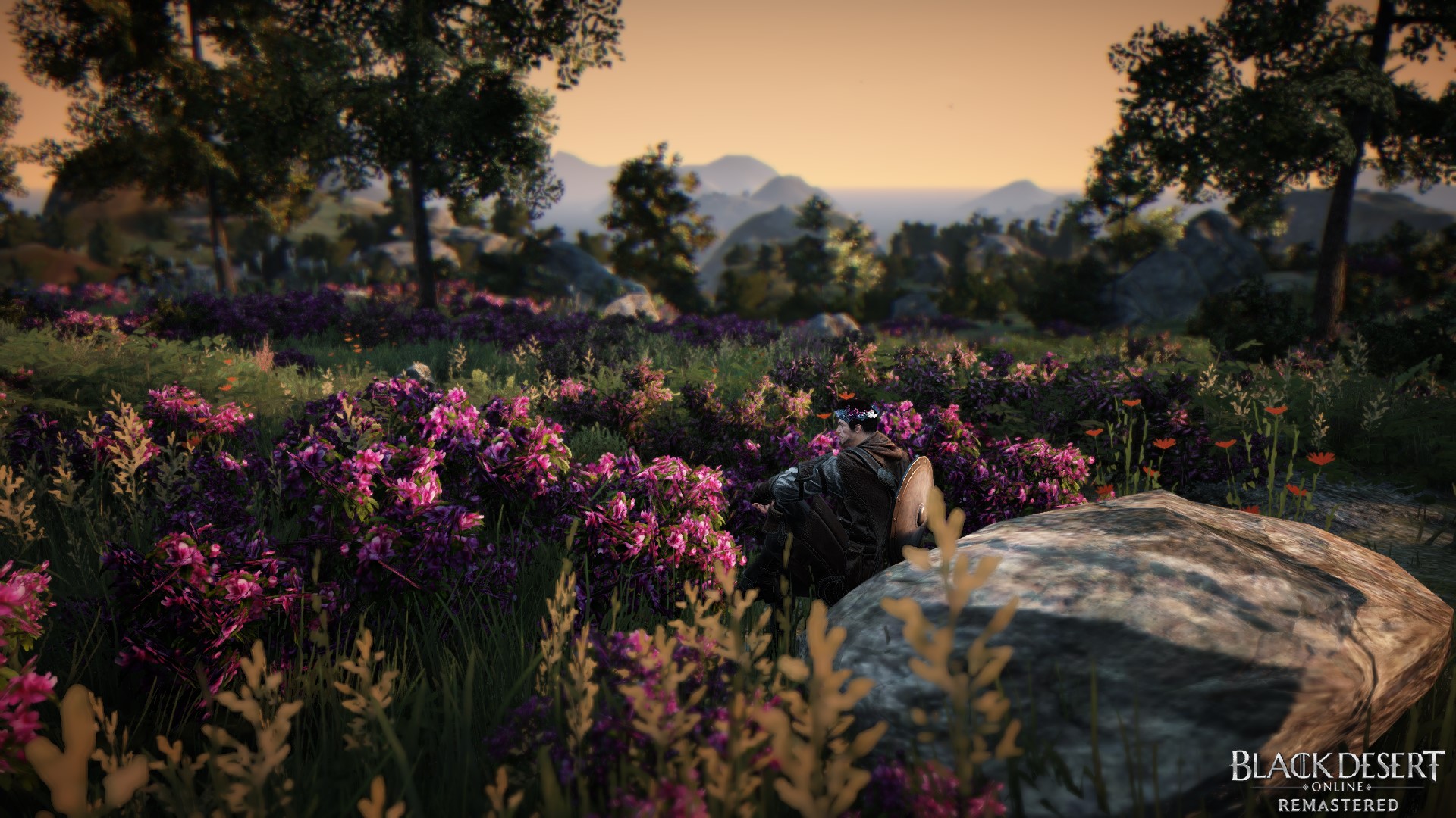 [Event] [Mine] [EU] secret spot Black Desert NA/EU/OC