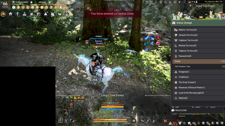 [Bug Reports] Storage UI off screen. | Black Desert NA/EU