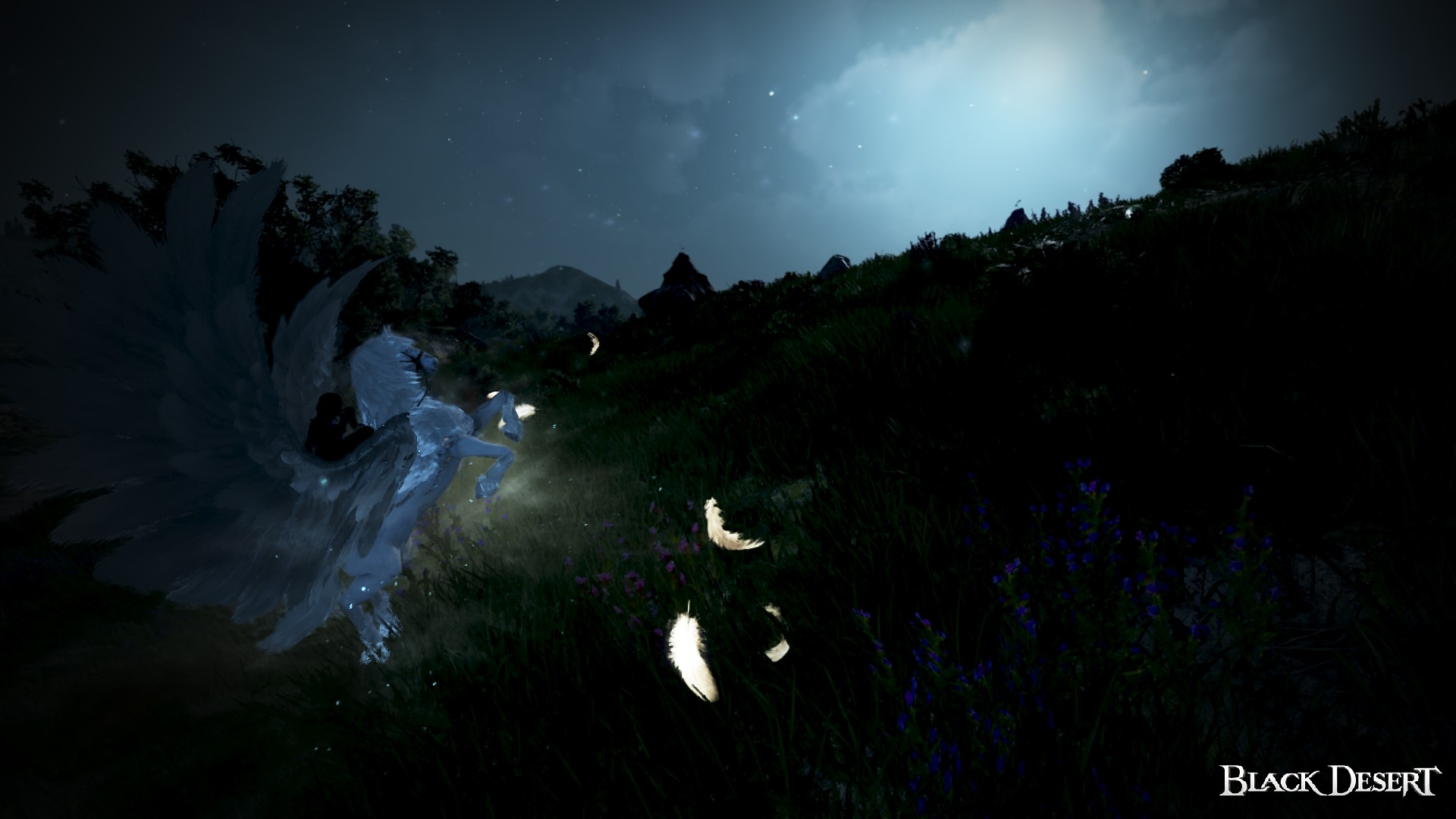 [Event] [BDO Calendar Summer][EU] Summer night Black Desert NA/EU