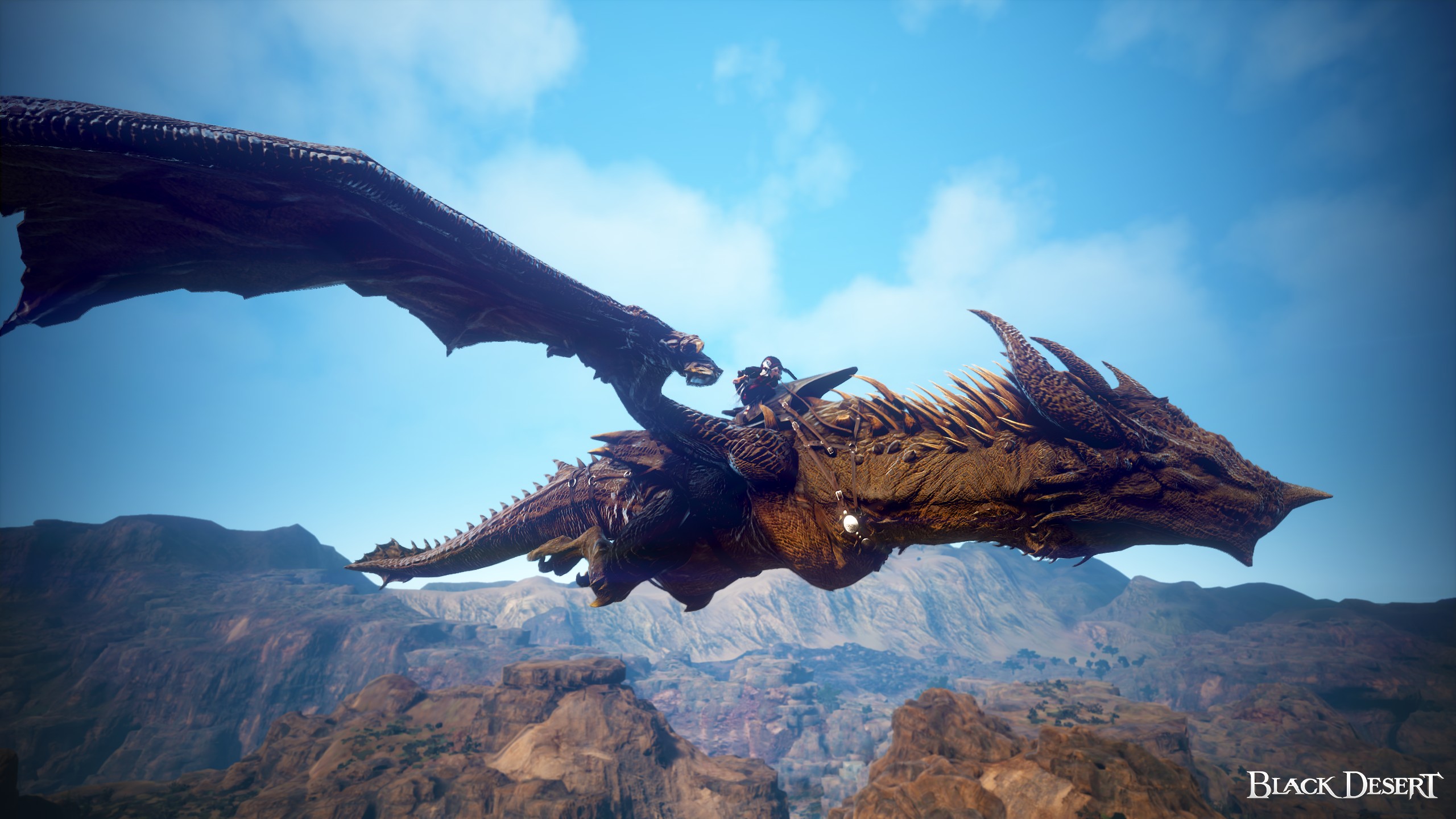 [Event] [Duskwing][EU] Little Dragon Rider | Black Desert NA/EU