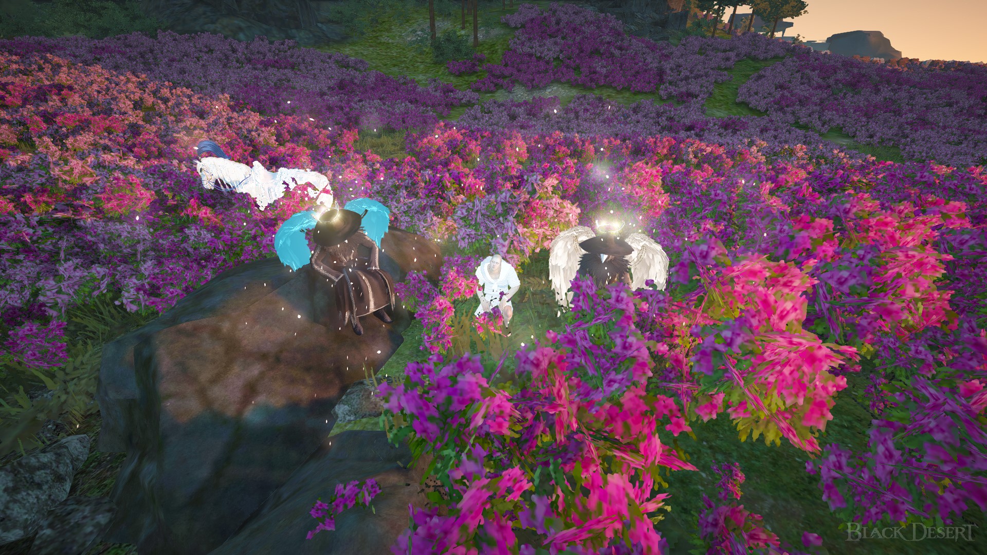 [Event] [EU][FindtheGM] Title [Gm's and Pink Rose Bay ] Black Desert NA/EU