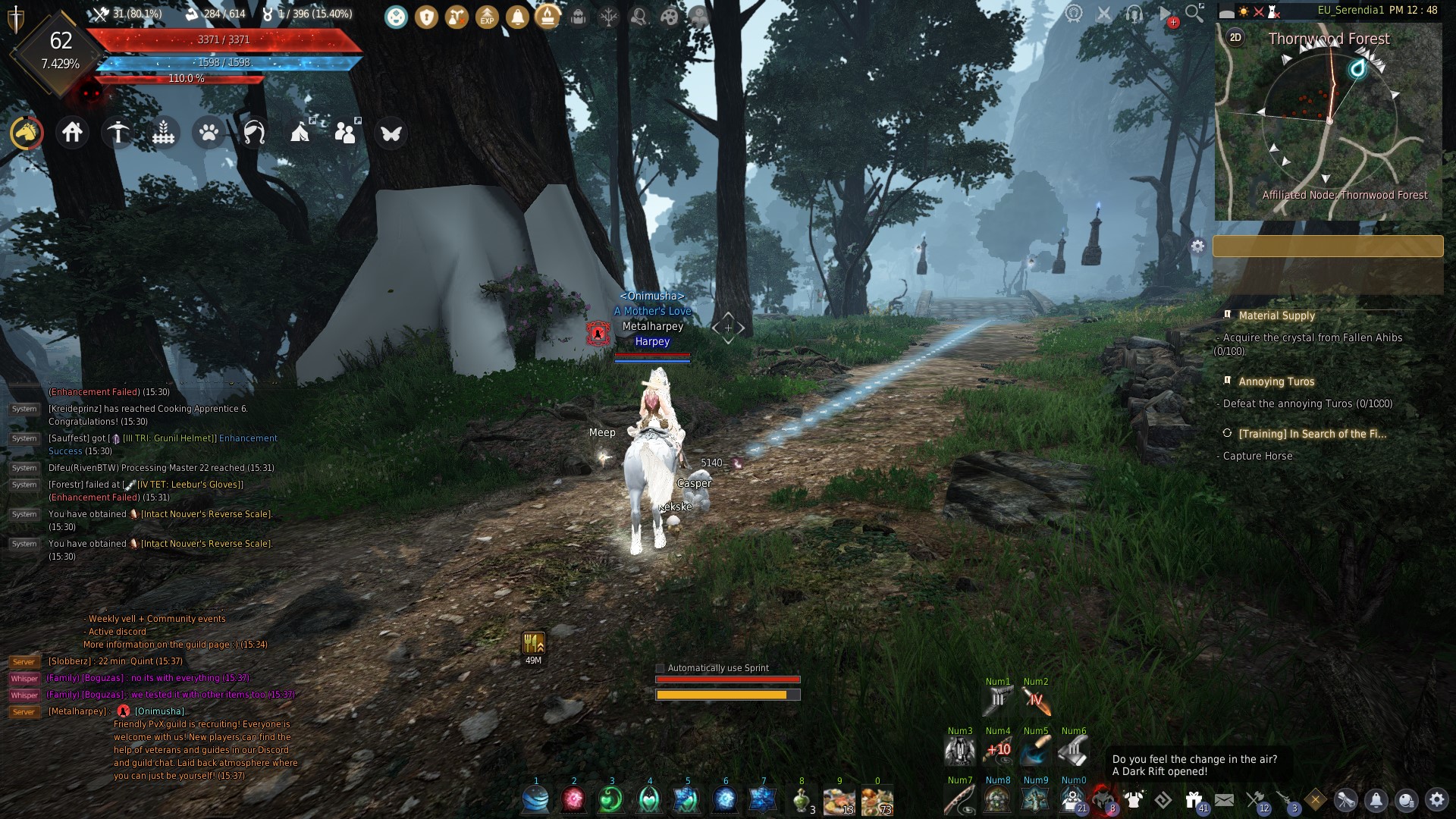 [Bug Reports] Missing tree textures in Thornwood | Black Desert NA/EU