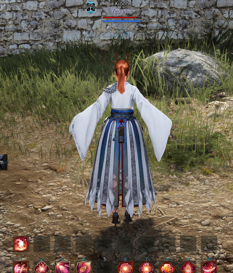 [Feedback] Maegu missing initial animation! | Black Desert NA/EU